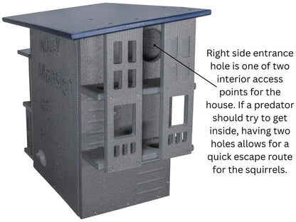 The "Poly-Summit" Nutty Mansion | Multi-Tiered Dual-Chamber Squirrel Habitat | JCS Wildlife