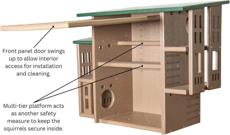 The "Poly-Summit" Nutty Mansion | Multi-Tiered Dual-Chamber Squirrel Habitat | JCS Wildlife
