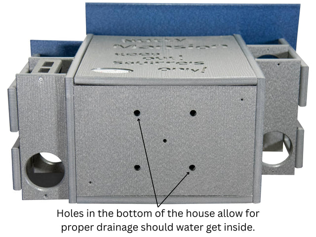 The "Poly-Summit" Nutty Mansion | Multi-Tiered Dual-Chamber Squirrel Habitat | JCS Wildlife