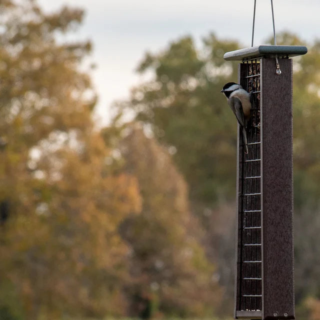The 'Drum Line' Tail-Prop Suet Feeder | JCS Wildlife Recycled Poly-Lumber Woodpecker Suet Feeder