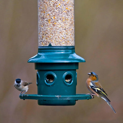 The 'Cardinal Vault' Squirrel-Proof Bird Feeder