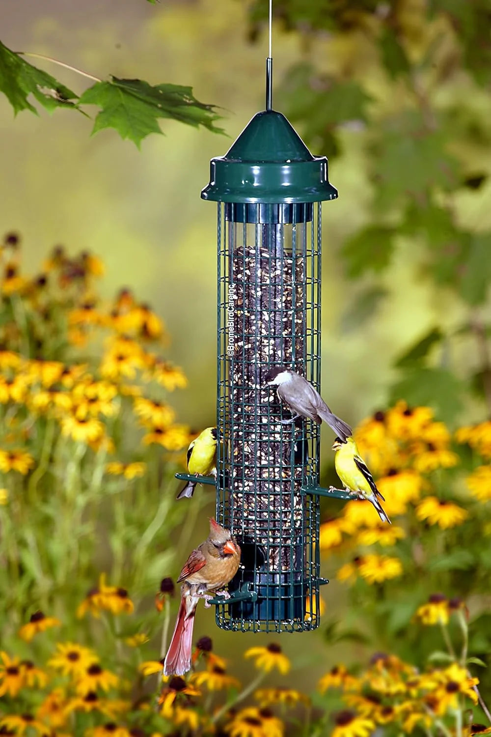 The 'Classic Guard' Squirrel-Proof Tube Feeder