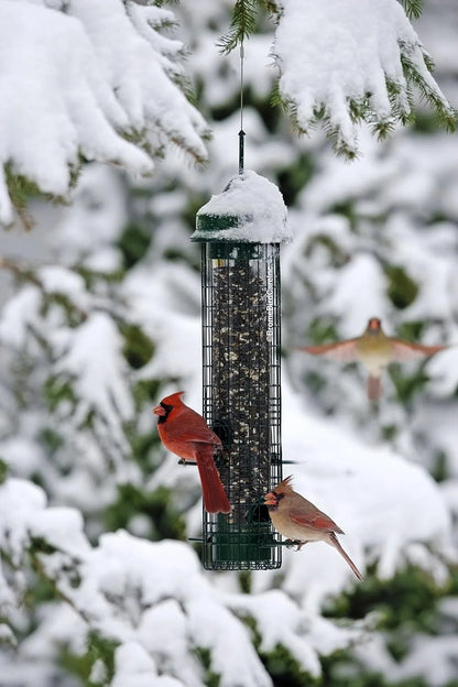 The 'Classic Guard' Squirrel-Proof Tube Feeder