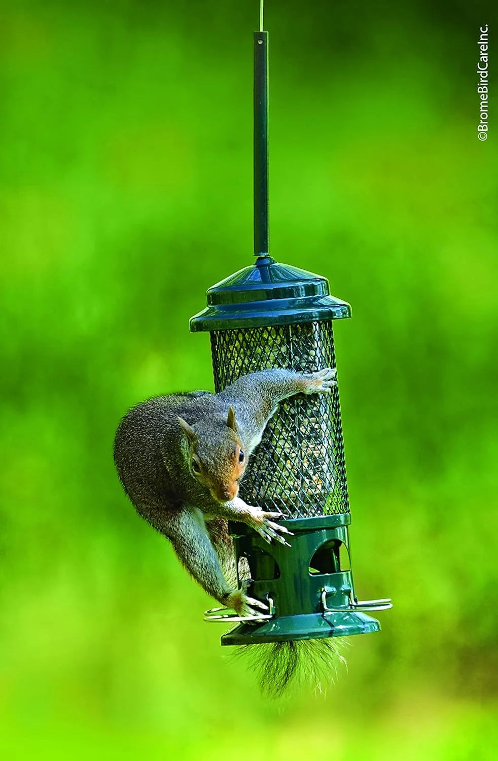 The 'Griplock' Squirrel-Proof Tube Feeder