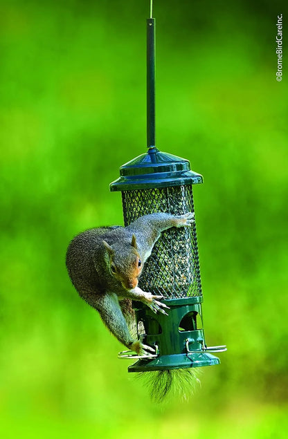 The 'Griplock' Squirrel-Proof Tube Feeder