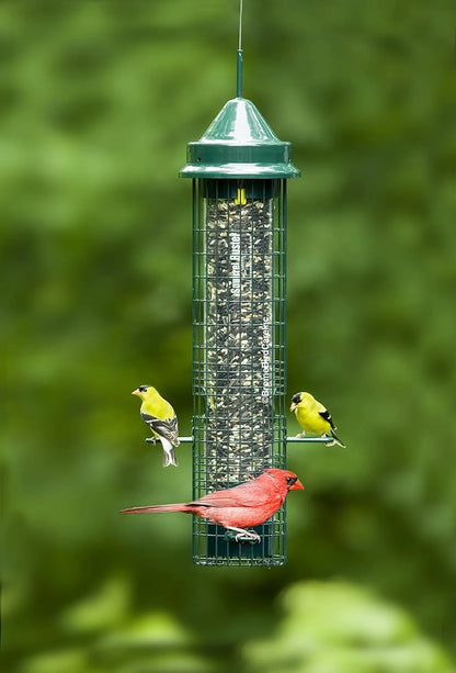 The "Dual-Horizon" Squirrel-Buster Bird Feeder Defilade | 2-Pack Coordinated Exclusion Set | Brome