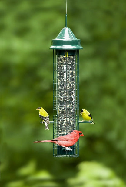 The 'Classic Guard' Squirrel-Proof Tube Feeder