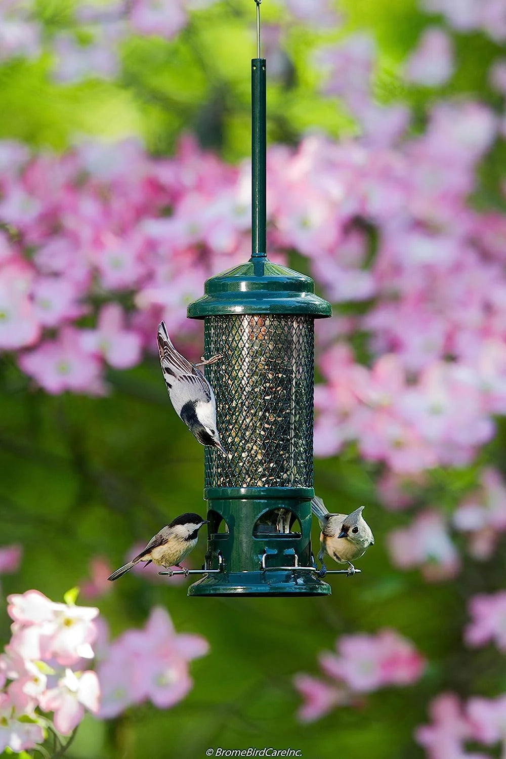 The "Sentry-Standard" Subdivision Squirrel-Proof Bird Feeder | 4-Pack Coordinated Exclusion Set | Brome