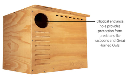 The "Estate Guardian" Barn Owl House | Large Raptor Nesting Box | JCS Wildlife