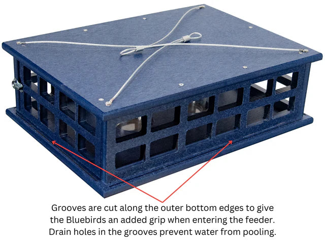 The 'Sky Diner' Deluxe Caged Platform Bluebird Feeder | JCS Wildlife Recycled Poly-Lumber Mealworm Feeder