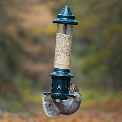 The 'Cardinal Vault' Squirrel-Proof Bird Feeder