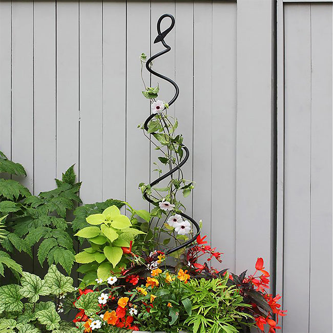 The 'Twist & Sprout' Spiral Garden Trellis | Achla Designs Black Wrought Iron Spiral Trellis Set of 3