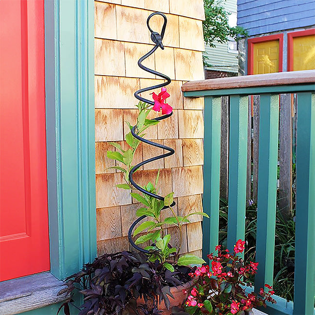 The 'Twist & Sprout' Spiral Garden Trellis | Achla Designs Black Wrought Iron Spiral Trellis Set of 3