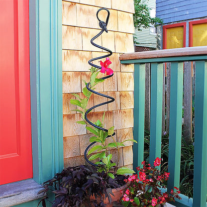 The 'Twist & Sprout' Spiral Garden Trellis | Achla Designs Black Wrought Iron Spiral Trellis Set of 3