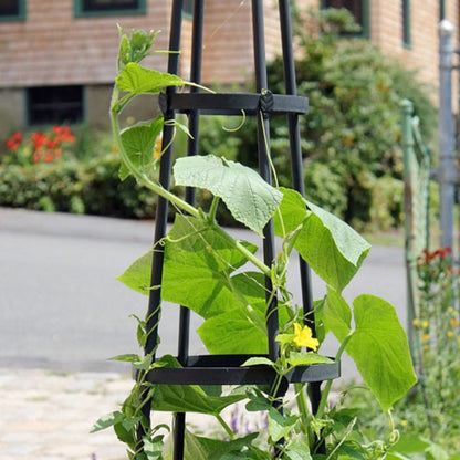 The 'Spire & Climb' Garden Obelisk | Achla Designs Graphite Metal Trellis