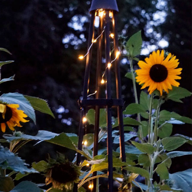 The 'Spire & Climb' Garden Obelisk | Achla Designs Graphite Metal Trellis