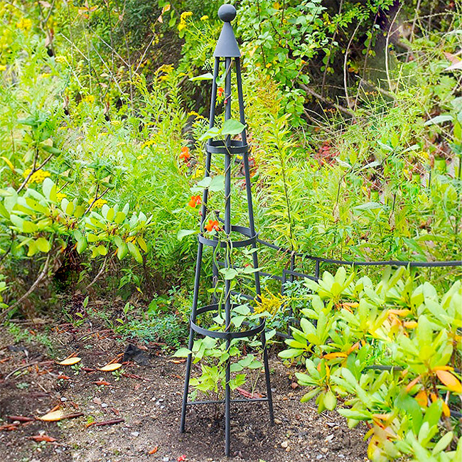 The 'Grand Spire' Garden Obelisk | Achla Designs Gray Metal Climbing Plant Trellis