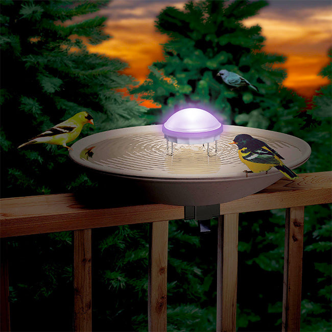 The 'Nightfall Ripple' Color-Changing Water Wiggler | Allied Precision Aurora Bird Bath Aerator & LED Light
