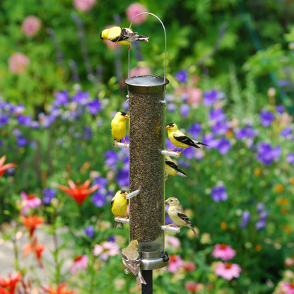The "Nickel Nurturer" Tube Bird Feeder Curated Set