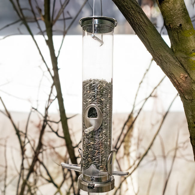 The "Nickel Nurturer" Tube Bird Feeder Curated Set