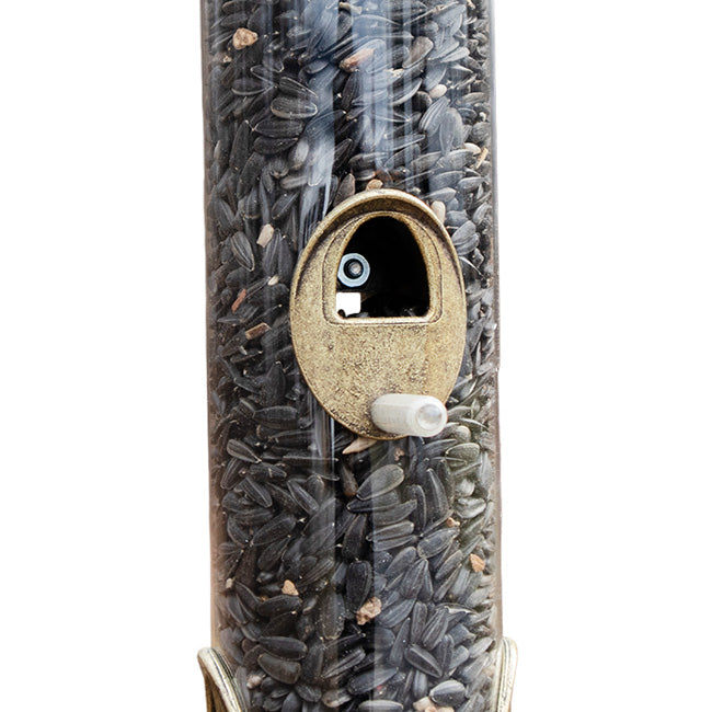 The 'Brass Bravado' Curated Tube Feeder Set