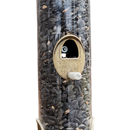 The 'Brass Bravado' Curated Tube Feeder Set