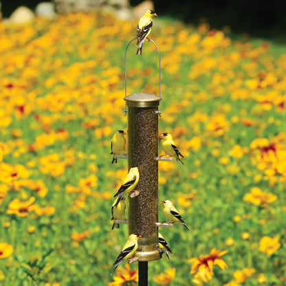 The 'Brass Bravado' Curated Tube Feeder Set
