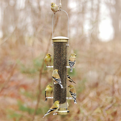 The 'Brass Bravado' Curated Tube Feeder Set