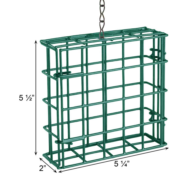 The "Nickel Nurturer" Tube Bird Feeder Curated Set