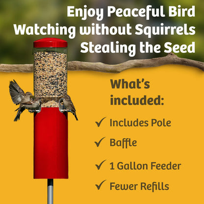 The 'Seed Sentinel' Squirrel-Proof Pole Bird Feeder