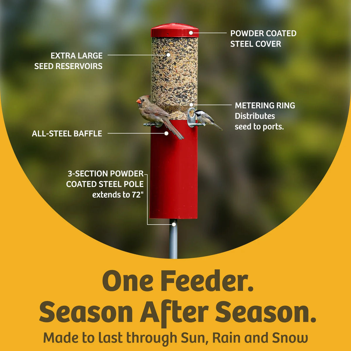 The 'Seed Sentinel' Squirrel-Proof Pole Bird Feeder