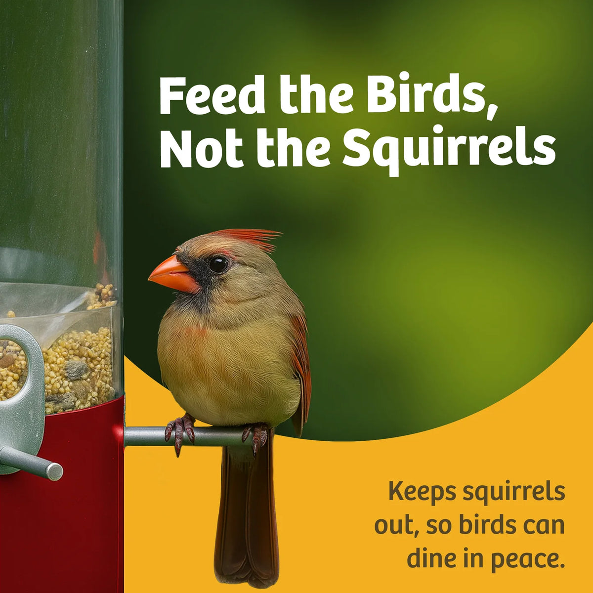 The 'Seed Sentinel' Squirrel-Proof Pole Bird Feeder
