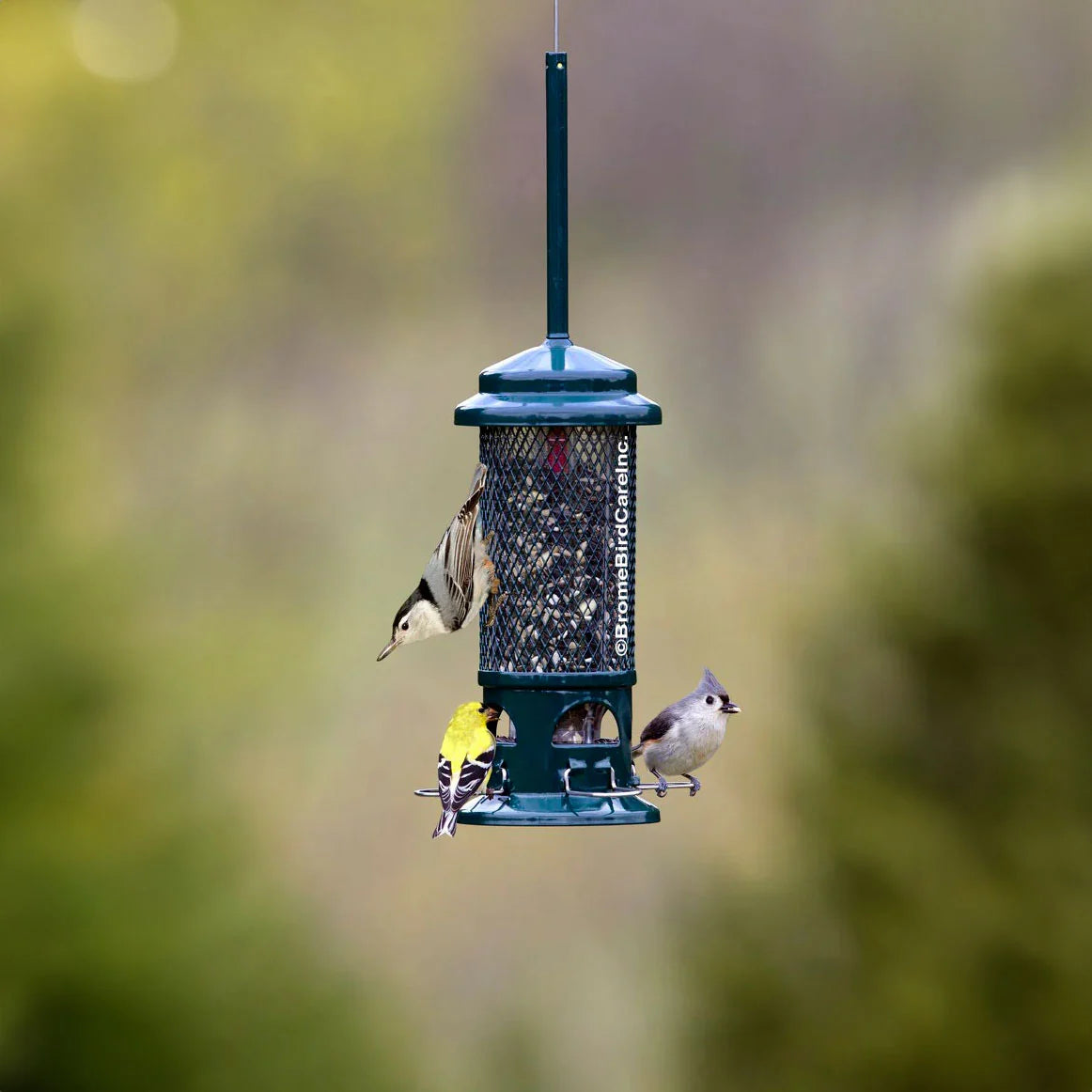 The 'Griplock' Squirrel-Proof Tube Feeder