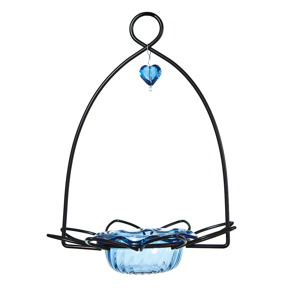 The 'Sapphire Statement' Premium Bluebird House & Feeder Kit