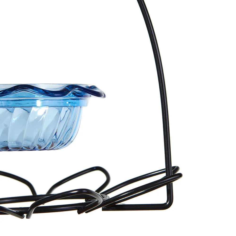 The 'Sapphire Statement' Premium Bluebird House & Feeder Kit