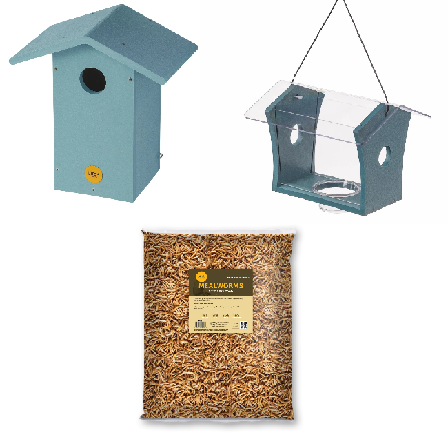 The 'Bluebird Basics' Bluebird Habitat Starter Kit