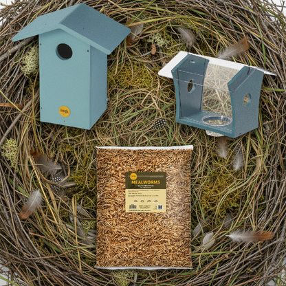 The 'Bluebird Basics' Bluebird Habitat Starter Kit