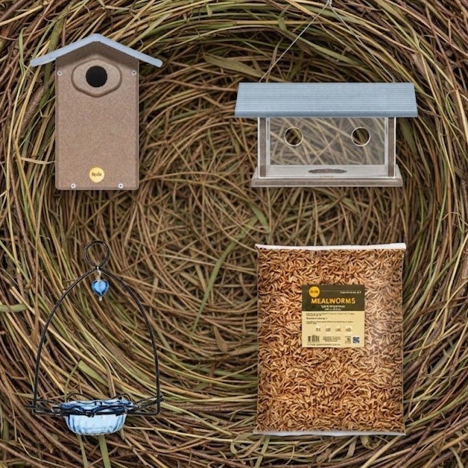 The 'Sapphire Statement' Premium Bluebird House & Feeder Kit