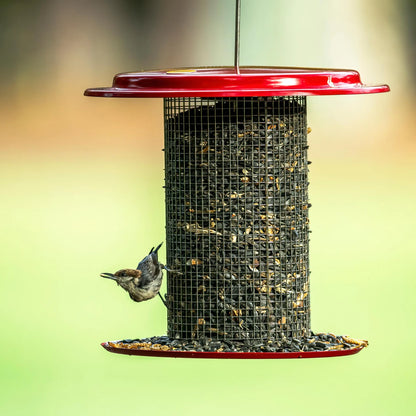 The 'Scarlet Station' Sunflower Seed Bird Feeder