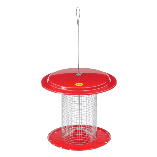 The 'Scarlet Station' Sunflower Seed Bird Feeder