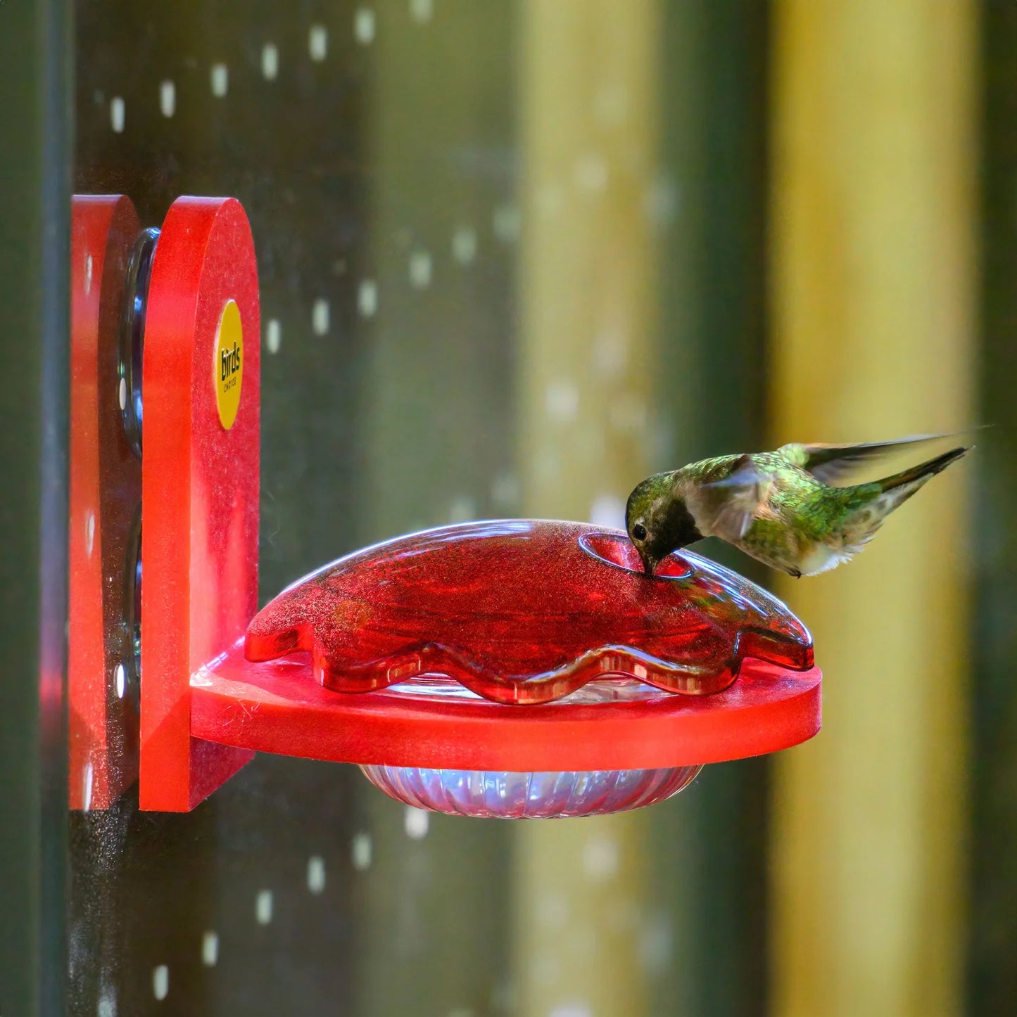 The "Aura-Six" Coordinated Window Perimeter Grid Hummingbird Feeders | 6-Unit Recycled Poly-Lumber Material | Birds Choice