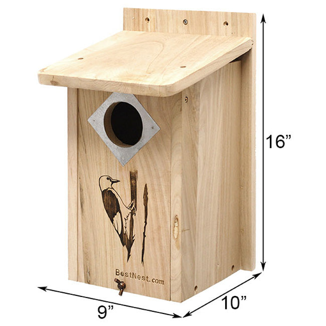 The "Hairy & Red-Bellied" Woodpecker House | Professional Nesting Box | BestNest