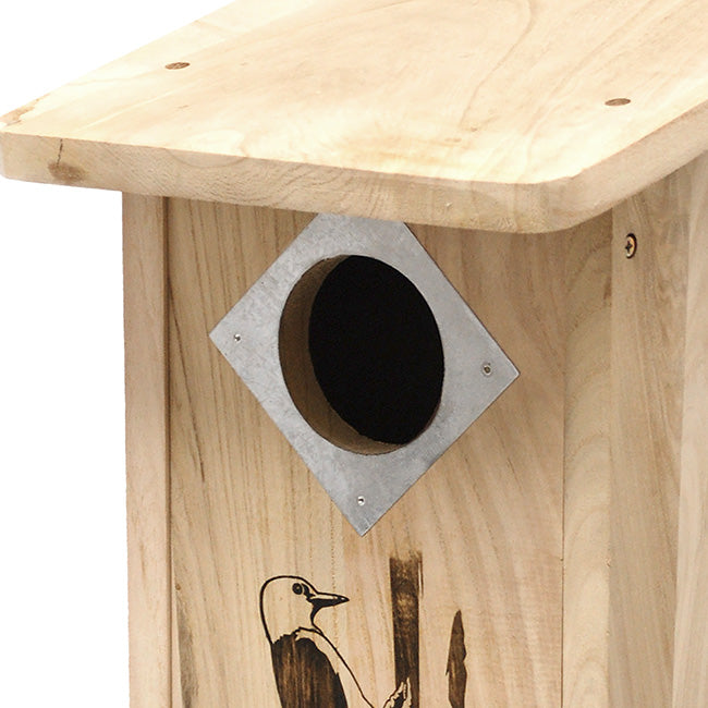 The "Hairy & Red-Bellied" Woodpecker House | Professional Nesting Box | BestNest