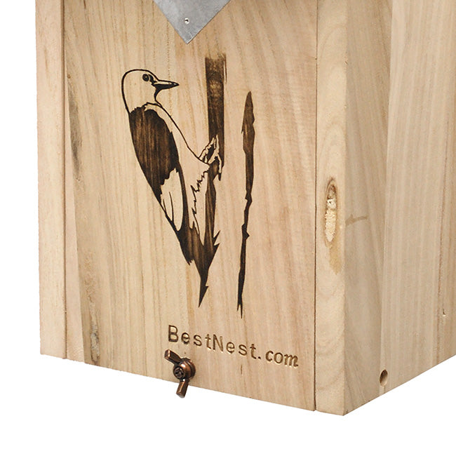 The "Hairy & Red-Bellied" Woodpecker House | Professional Nesting Box | BestNest