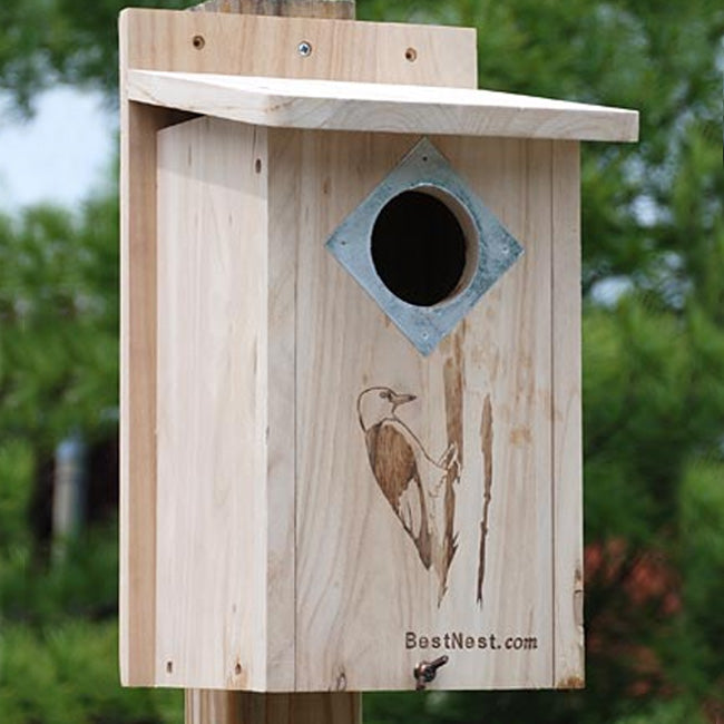 The "Hairy & Red-Bellied" Woodpecker House | Professional Nesting Box | BestNest