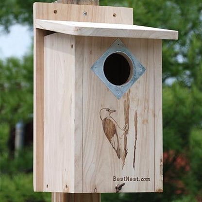 The "Hairy & Red-Bellied" Woodpecker House | Professional Nesting Box | BestNest