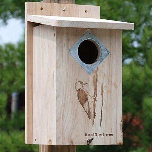 The "Hairy & Red-Bellied" Woodpecker House | Professional Nesting Box | BestNest