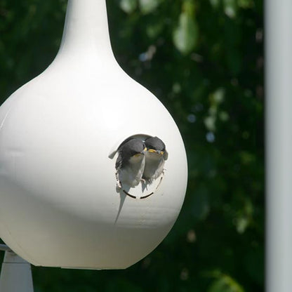 The 'Settlers Package' Purple Martin Starter Kit | BestNest 6-Gourd Colony System with Tri-Pole, Bracket & Decoys