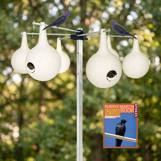 The 'Settlers Package' Purple Martin Starter Kit | BestNest 6-Gourd Colony System with Tri-Pole, Bracket & Decoys