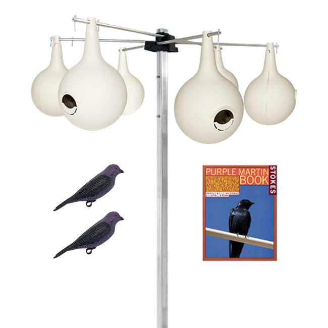 The 'Settlers Package' Purple Martin Starter Kit | BestNest 6-Gourd Colony System with Tri-Pole, Bracket & Decoys